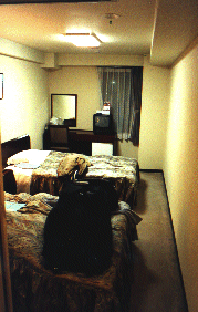 aahotelroom.gif (42577 bytes)
